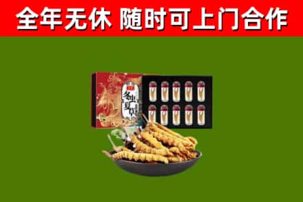晴隆回收冬虫夏草价格