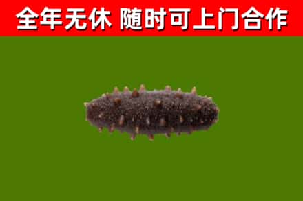 晴隆烟酒回收干海参.jpg